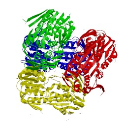 Image of CATH 4e7d