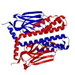 Image of CATH 4e81