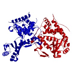 Image of CATH 4e8f