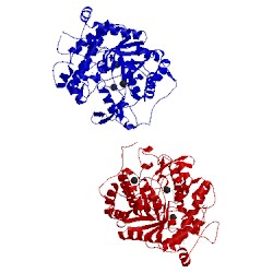 Image of CATH 4ean