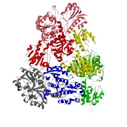 Image of CATH 4ebf