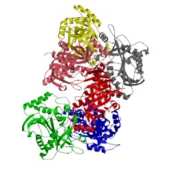 Image of CATH 4ece