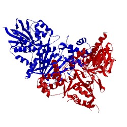 Image of CATH 4ech