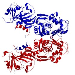Image of CATH 4eck