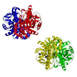 Image of CATH 4ecl