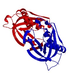 Image of CATH 4ecp