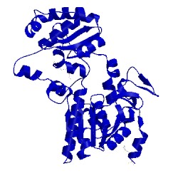 Image of CATH 4ed9