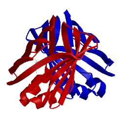 Image of CATH 4ede
