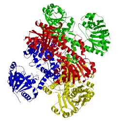 Image of CATH 4edf