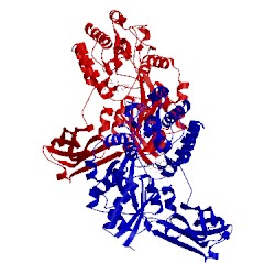 Image of CATH 4edq