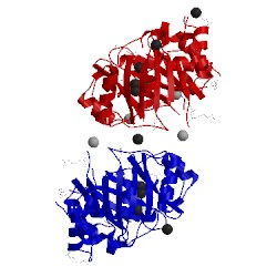 Image of CATH 4ee6