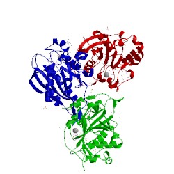 Image of CATH 4eea