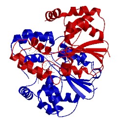 Image of CATH 4eec
