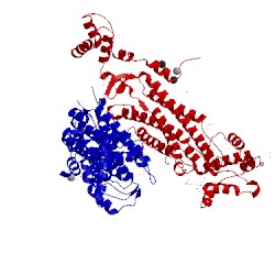 Image of CATH 4eei