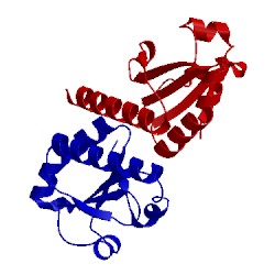 Image of CATH 4ef0