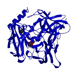 Image of CATH 4ef3