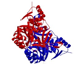 Image of CATH 4ef9