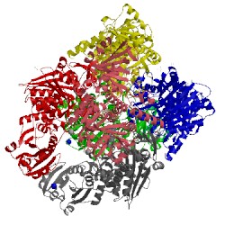 Image of CATH 4efd