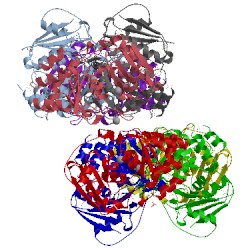 Image of CATH 4eg2