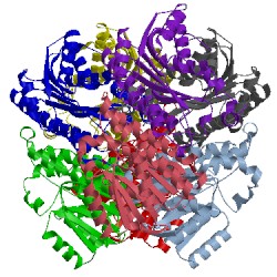 Image of CATH 4egf