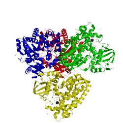 Image of CATH 4ego
