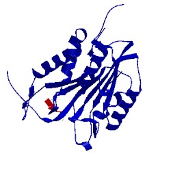 Image of CATH 4ehd