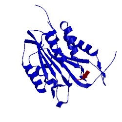 Image of CATH 4ehf