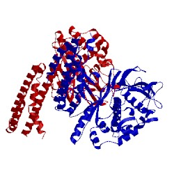 Image of CATH 4ej3