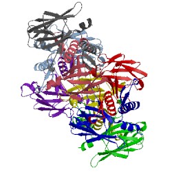 Image of CATH 4ejq