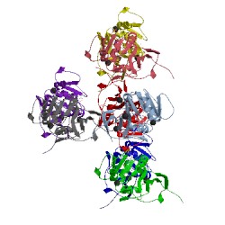 Image of CATH 4elb