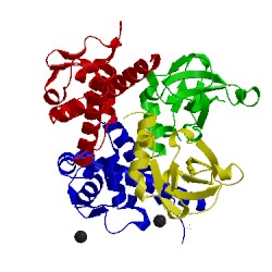 Image of CATH 4ely