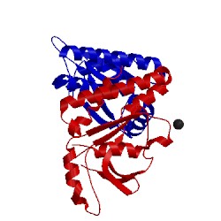 Image of CATH 4emu