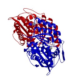 Image of CATH 4en4