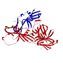 Image of CATH 4en6