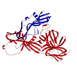 Image of CATH 4en9