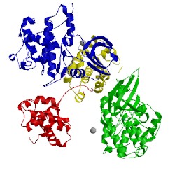 Image of CATH 4eon