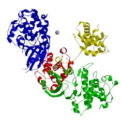 Image of CATH 4eop