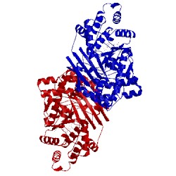 Image of CATH 4epp