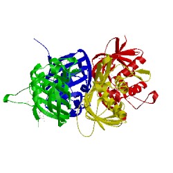 Image of CATH 4es5