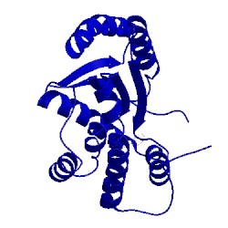 Image of CATH 4esh