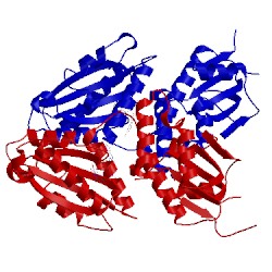Image of CATH 4etz
