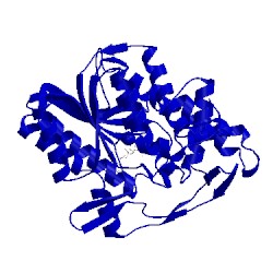 Image of CATH 4euf