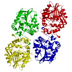 Image of CATH 4eus