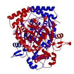 Image of CATH 4eux