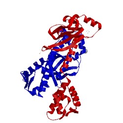 Image of CATH 4ev0