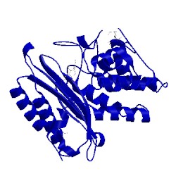 Image of CATH 4ev4