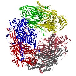 Image of CATH 4ev5