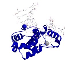 Image of CATH 4ew4
