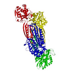 Image of CATH 4ewt