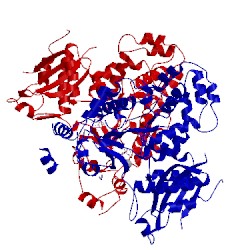 Image of CATH 4ewv